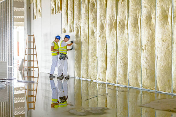 Best Fiberglass Insulation  in Coram, NY